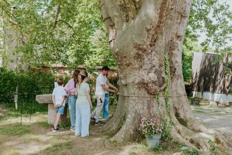 Provence, Walk The Footprint of Time Track Game, Wine