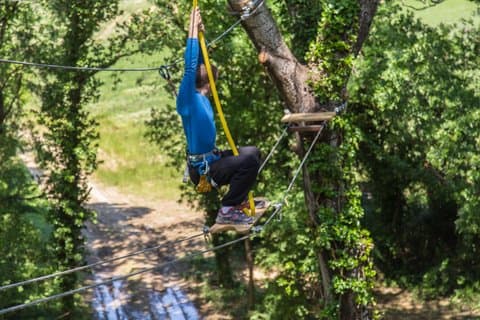 AddictCamp Vert'tige, Route tree in the Drôme