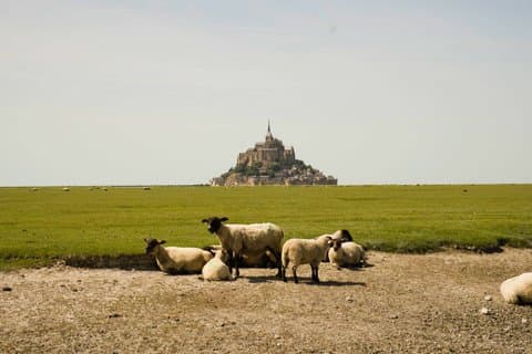 Private Paris Étretat and Mont Saint Michel Tour