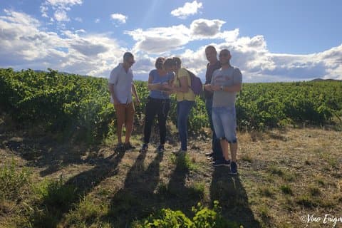 Escape Game in the vineyards