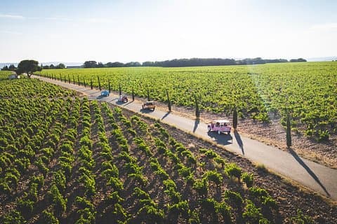Chateauneuf du Pape Private Tour in the Méhari with Driver-Guide