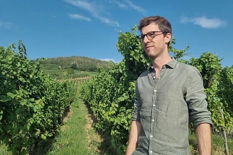 Orschwihr: Vineyards, winery and tasting Guide 6 Alsatian wines