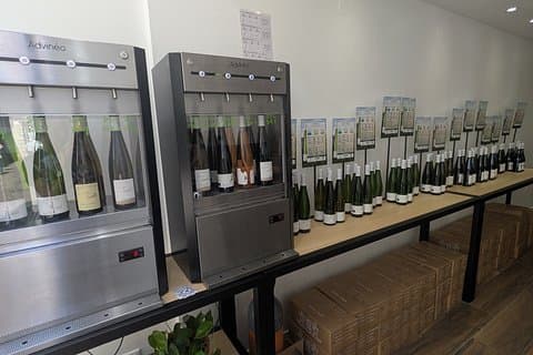 Wines of Alsace in Colmar, The Discovery Experience
