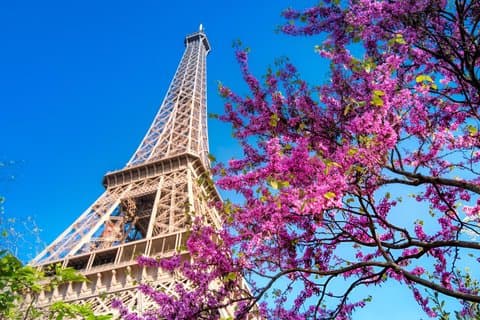 Best of Paris Guided Half Day City Tour with a Local