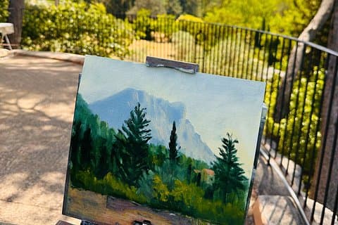 Private one day - Painting & Art Class Experience in Provence