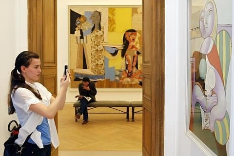 Musée National Picasso Museum and Exhibitions Entry Ticket Paris