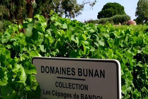Wine tasting and free tour of the vineyards at Domaine Bunan