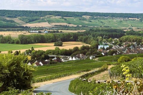 Champagne Small Group Tour 2 Wineries Épernay and Hautvillers