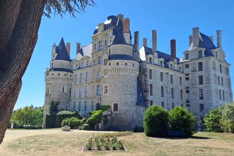 Anjou Chateau and Wine Discovery Full day