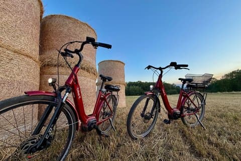 Discover Fontainebleau by Electric Bike - Seine Forest and Villages