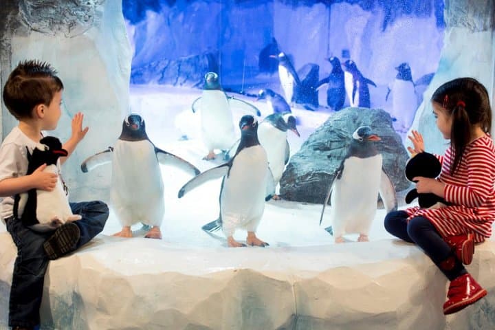 Aquarium SEA LIFE Paris Val d'Europe