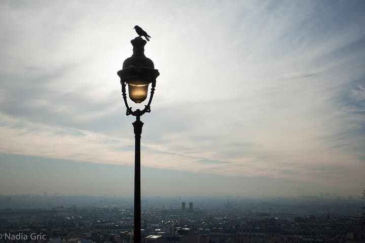 Choose between the walking or driving option to visit Paris !