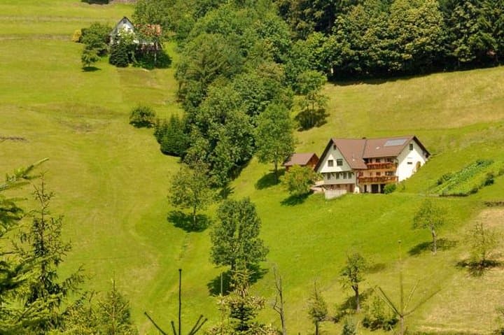 Germany Baden-Baden & Black Forest Private Day Trip from Strasbourg