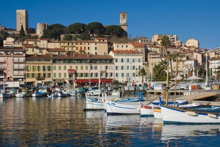 Private Half-Day Trip: Cannes and Antibes from Nice by Minivan