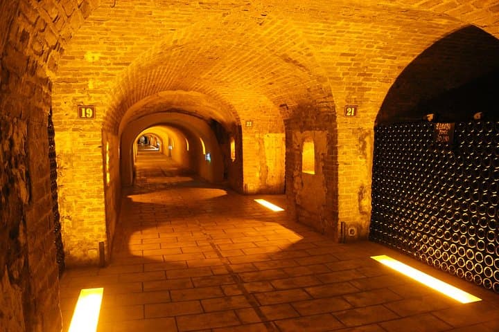 Impressive Champagne cellars!