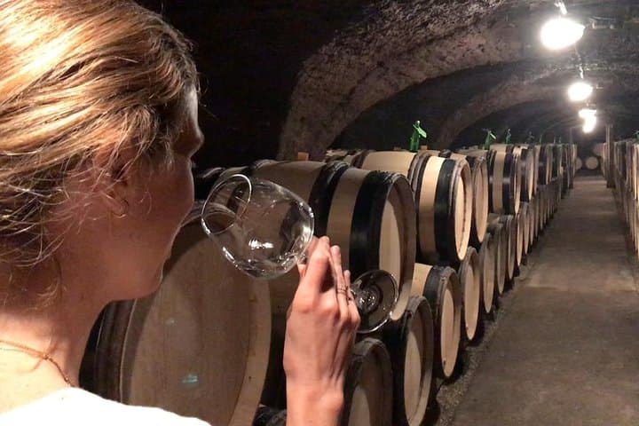 Burgundy wine cellars