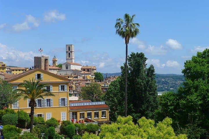 grasse