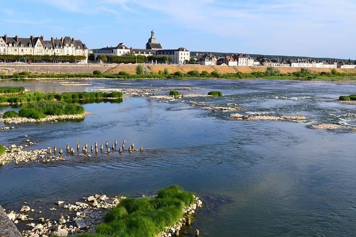 Loire VIP Wine Day from Paris: Castle, 6 Tastings& Michelin Lunch