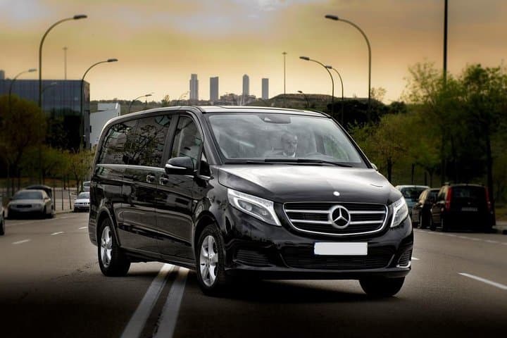 Paris by yourself (4-8h) with english speaking driver by MiniVan