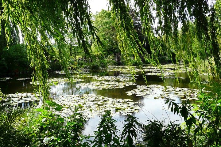 Giverny Monet's House & Gardens Private Half-Day Trip from Paris
