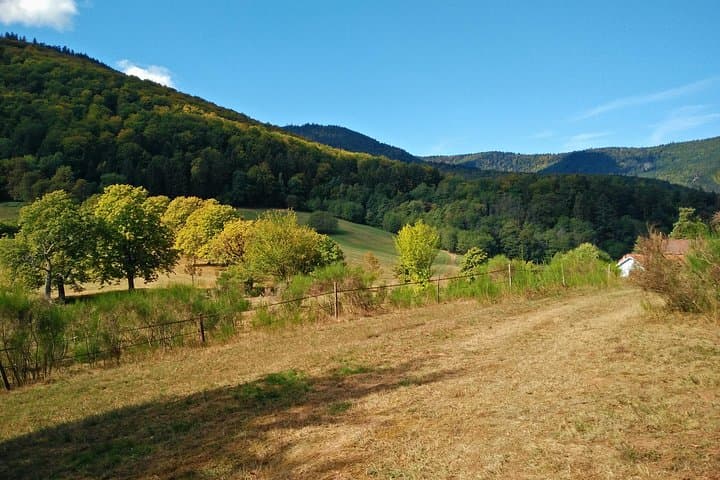 Quietude in the forest, zenitude and well-being in the forest