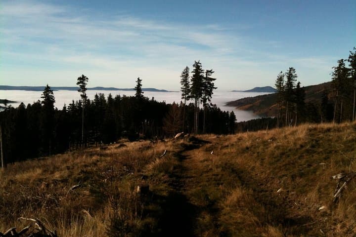 Foggy sea on the plain of Alsace in autumn