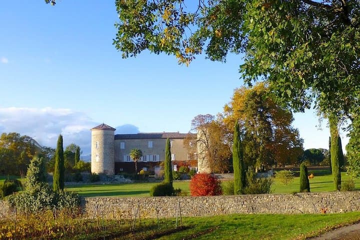 Castle of Selve - The Castle