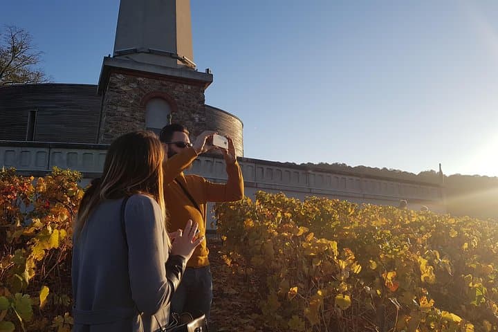 Private day tour in Champagne