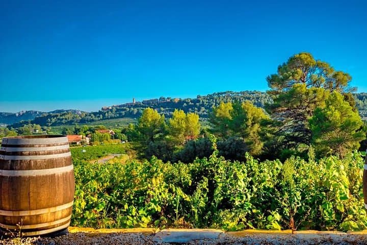 Cellar Visit & Bandol Wine Tasting (in French)