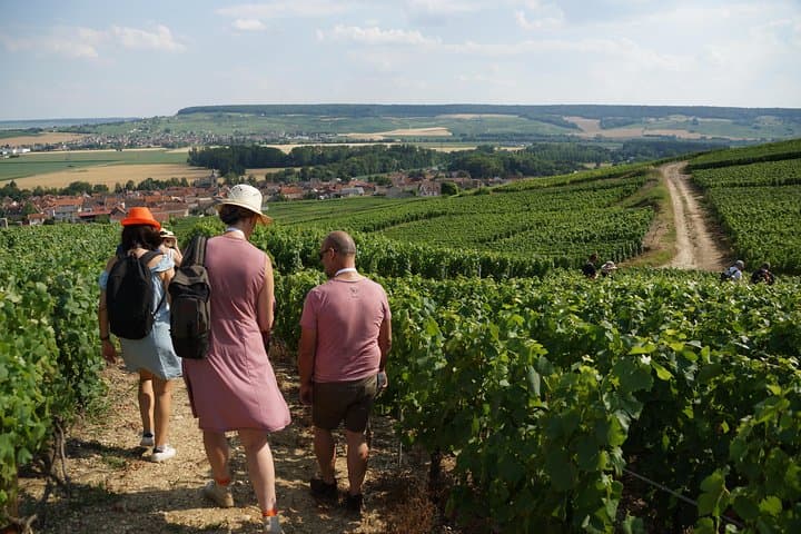 Gourmet walk in the heart of the vineyards with Champagne tasting near Epernay