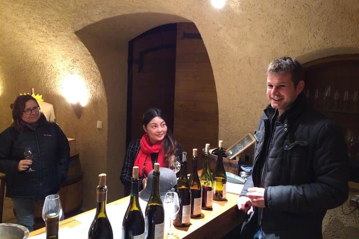 Beaujolais Crus Wines & Castles (2:00 pm - 6:30 pm) - Small Group Tour from Lyon