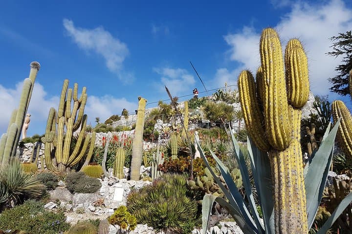 Private Tour of Nice, Monaco & Eze with a local guide