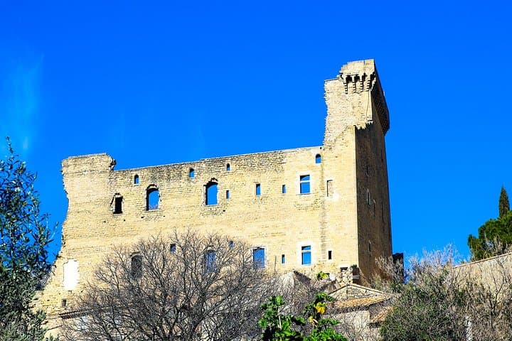 Châteauneuf du Pape & the wines of the region, gastronomy, fine wine & joie de vivre