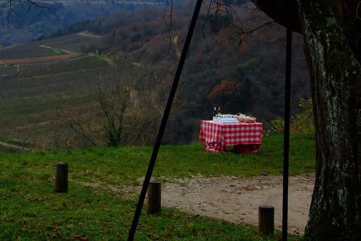 A picnic is waiting for you!