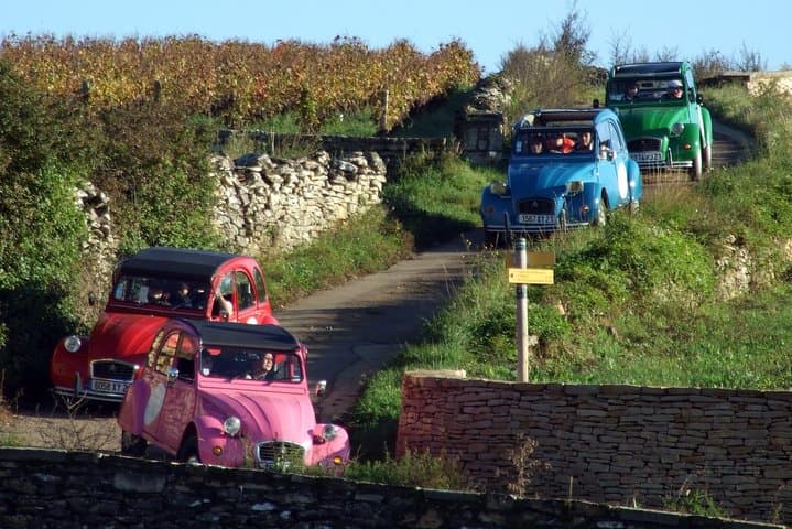 Farandole of 2CV between 2 parcels of vines