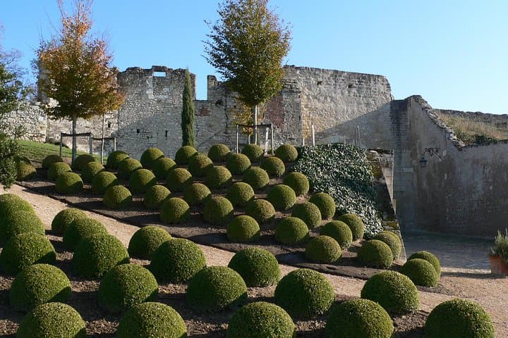 Visit to the Castles of the Loire Valley