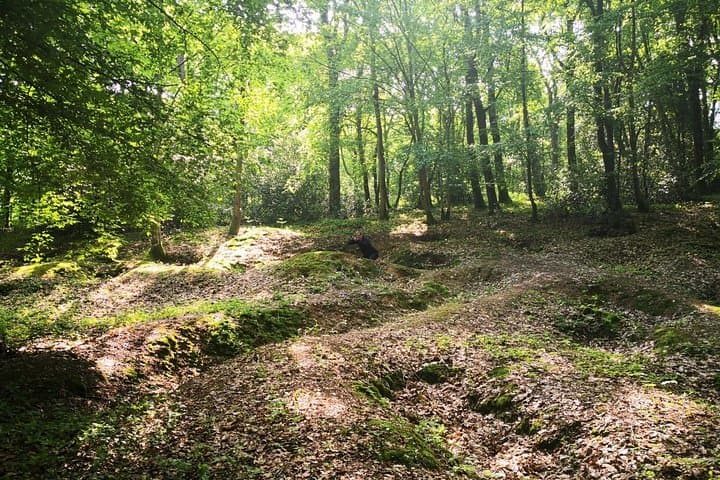 Belleau Wood- With your guide you will walk in the wood and you see the traces of the fighting (trenches, fox holes, bomb craters) wich are still visibles today.