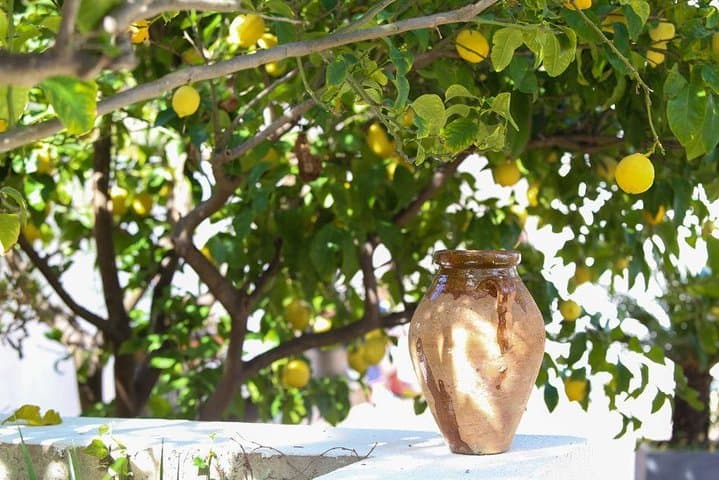 3-Course Organic Dinner in Garden with Views of French Riviera
