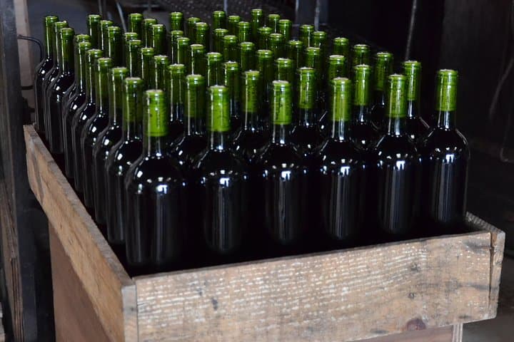 Authentic Château Chatain Wine Tasting & Vines Leaves Hunting