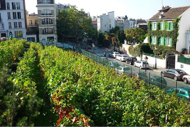 Unusual walking tour of Montmartre and local wine tasting - 2H