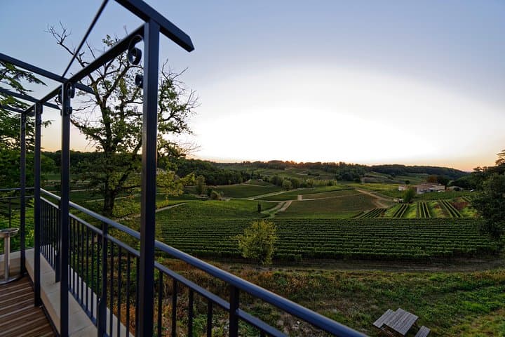 Saint-Emilion Grand Cru Classified: Gourmet Tour in French