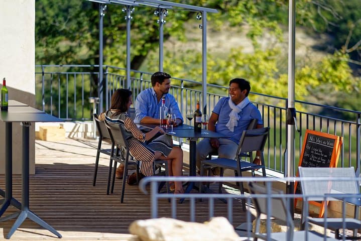 Saint-Emilion Grand Cru Classified: Gourmet Tour in French