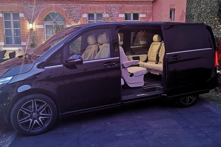 Disneyland Private Transfer - Luxury Minivan Service