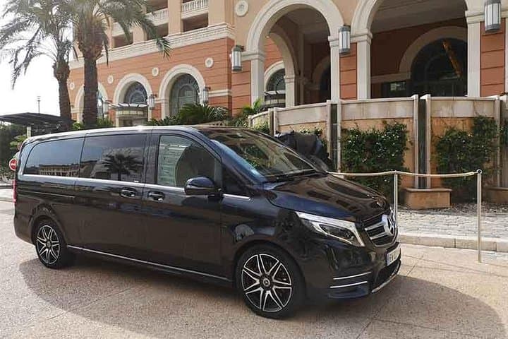 Disneyland Private Transfer - Luxury Minivan Service