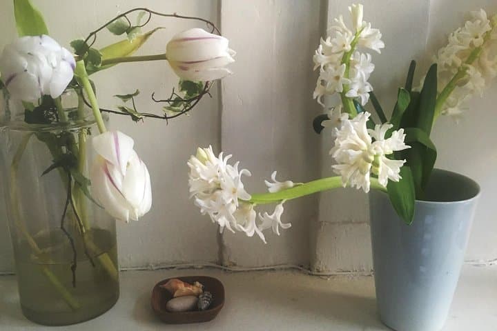 Serenity in decor