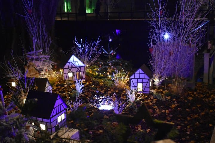 Experience the magic of Christmas in Riquewihr and Eguisheim!