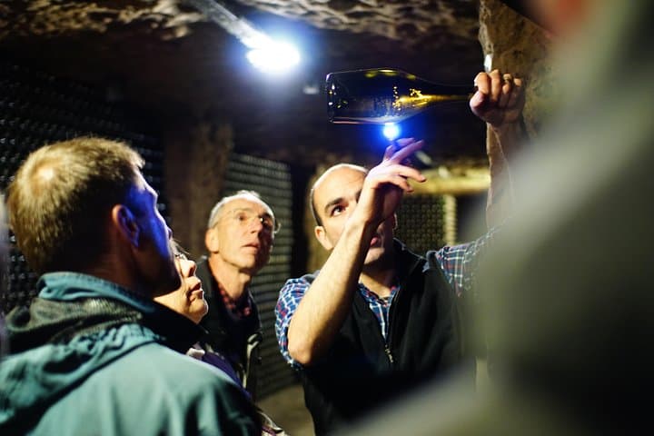 Cellar visit
