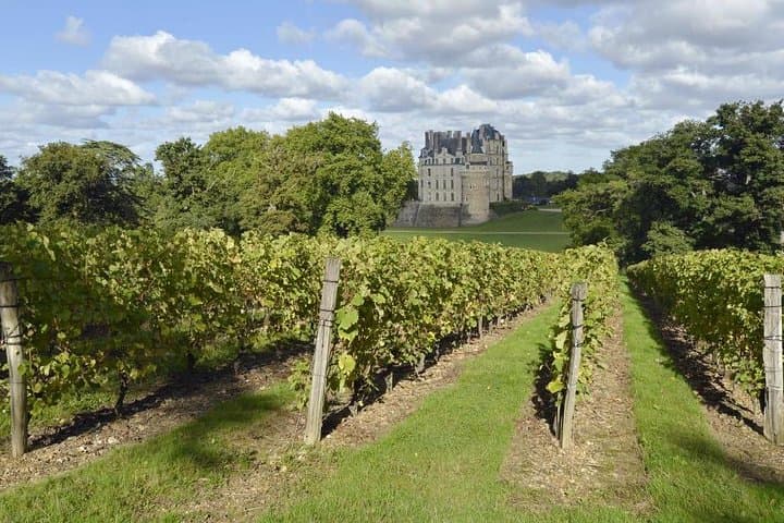 Loire Valley private one full day tour, with Round Trip Train Tickets From Paris