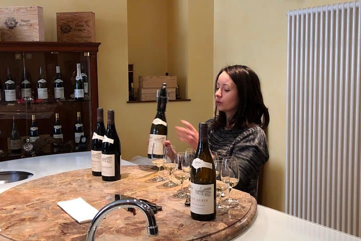one day of shopping of the best wines in Burgundy (day-trip from PARIS)