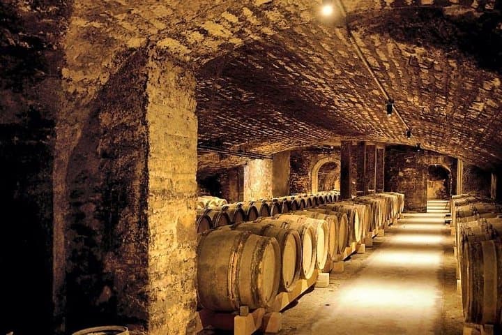 one day of shopping of the best wines in Burgundy (day-trip from PARIS)